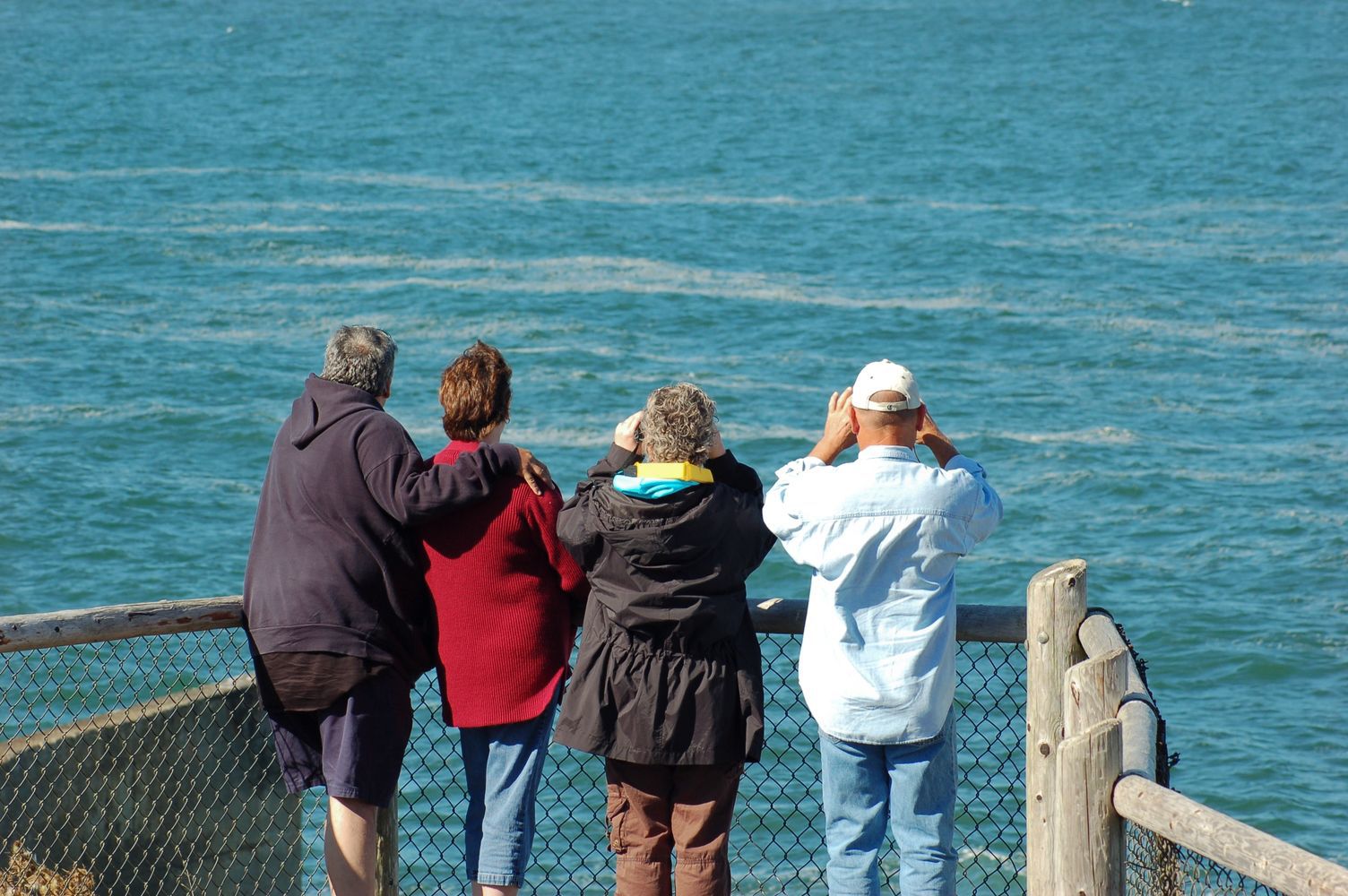 Whale Watching